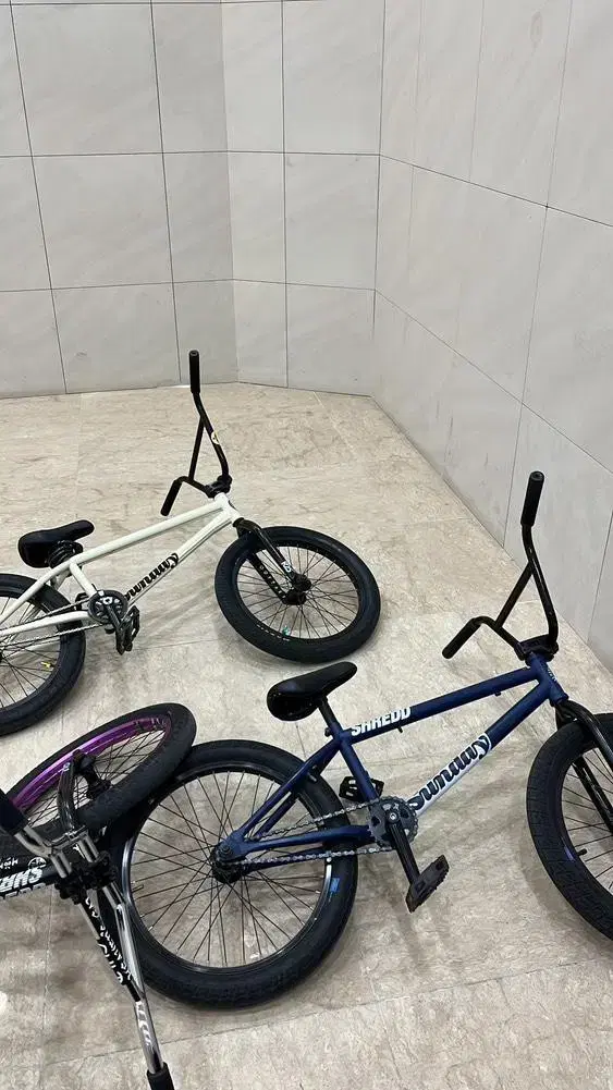 선데이bmx(급처)